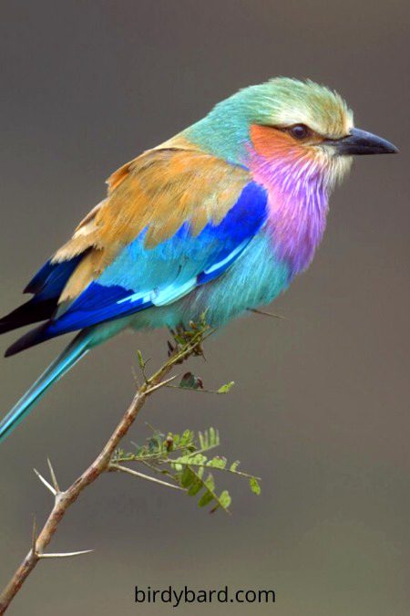 Beautiful Nature image