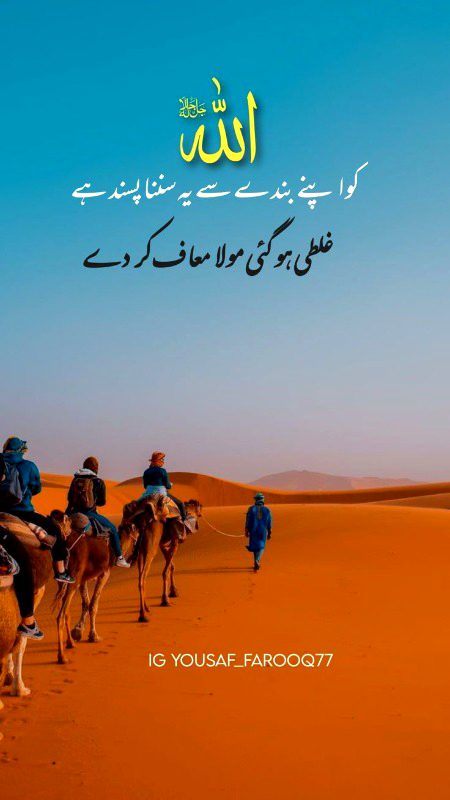 Islamic Quotes image