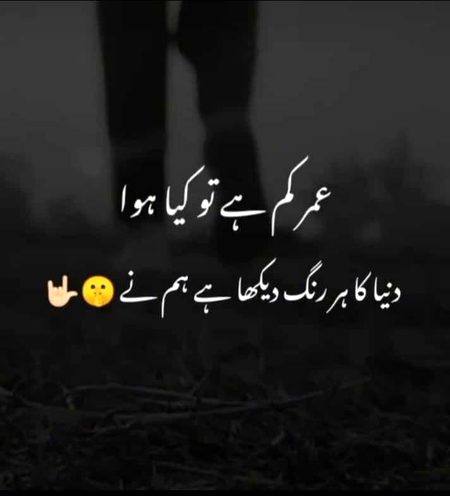 Attitude Quotes image