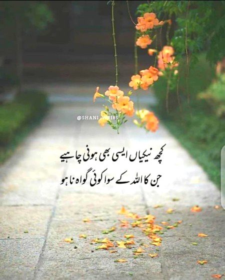 Islamic Quotes image