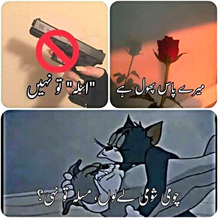 Memes & Satire image