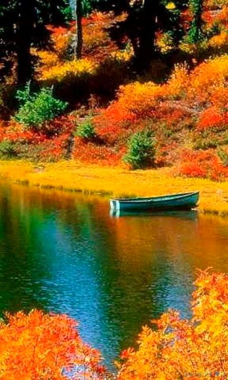 Beautiful Art painting