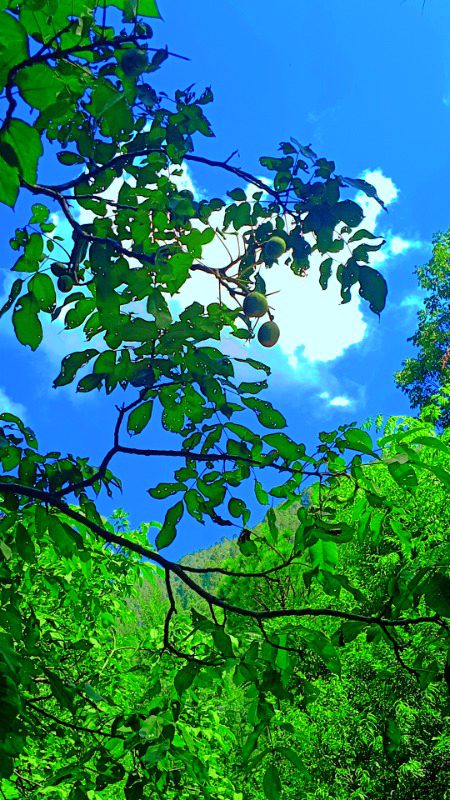 Beautiful Nature image