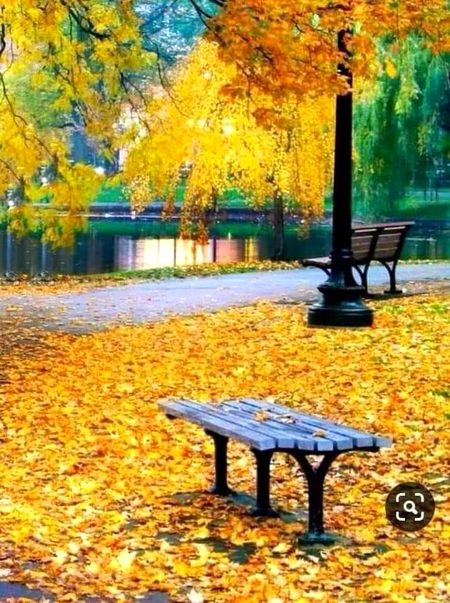 Beautiful Nature image