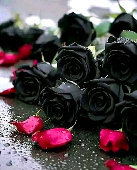 Beautiful Nature image