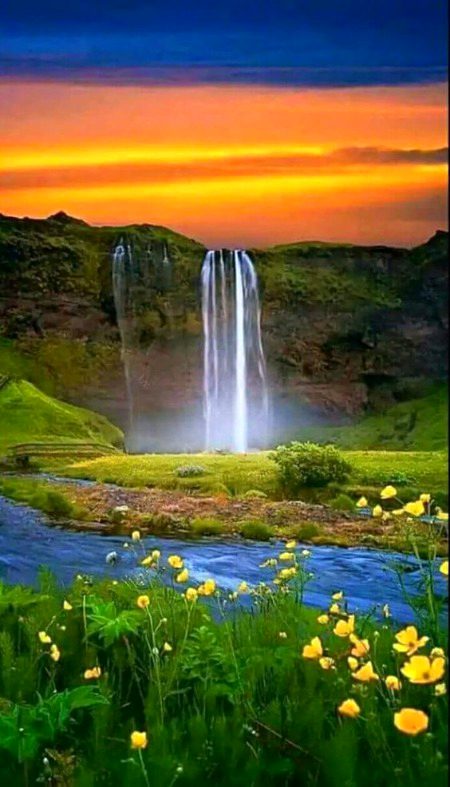 Beautiful Nature image