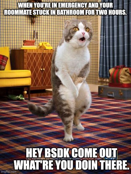 Memes & Satire image