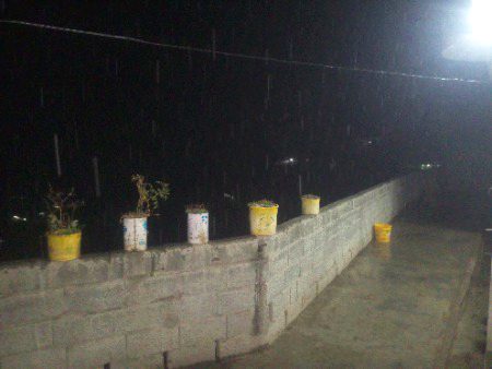 Beautiful Nature image