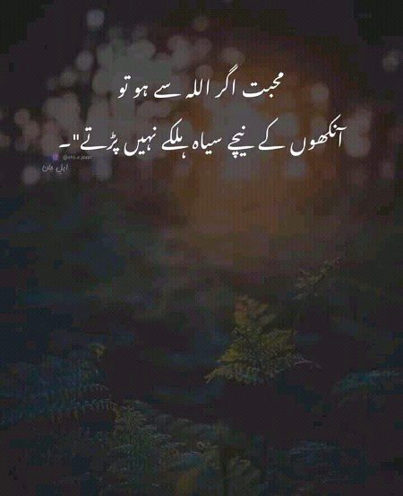 Islamic Quotes image