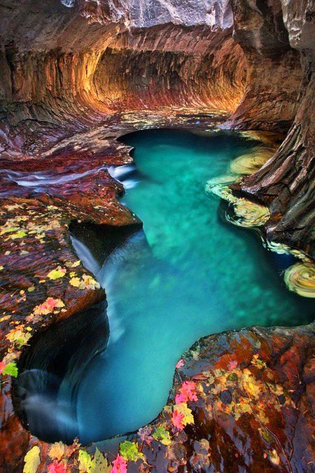 Beautiful Nature image