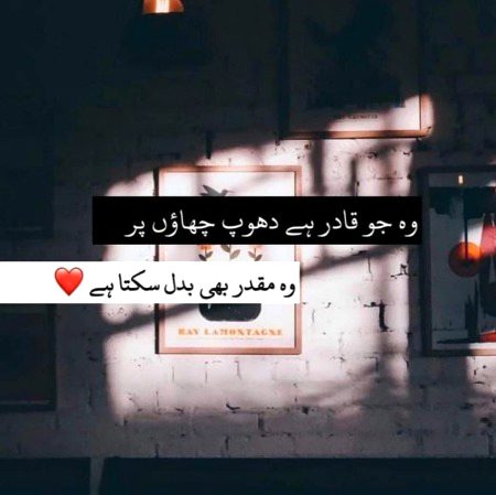 Absolutely 💯
