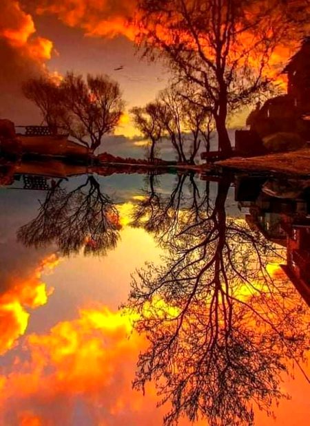 Beautiful Nature image