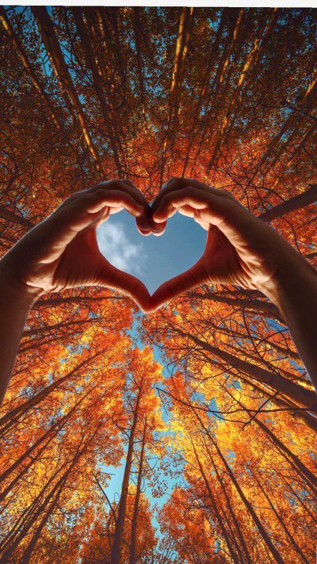 Beautiful Nature image