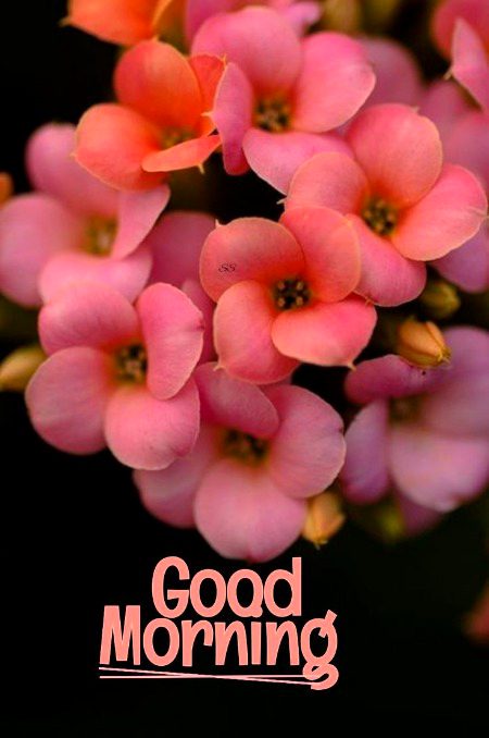 Beautiful Nature image