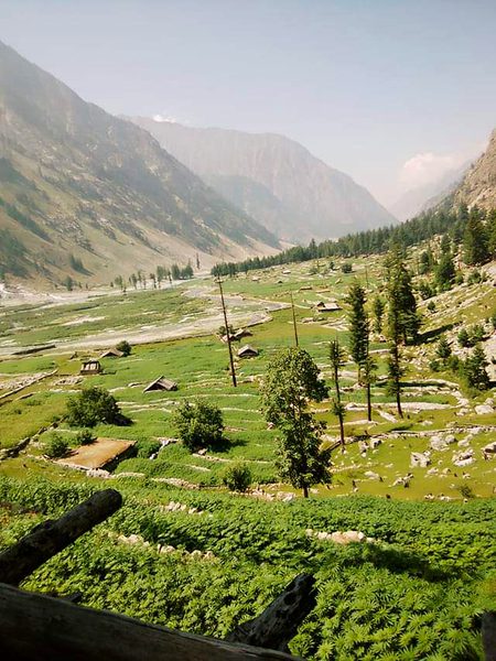 Beautiful Nature image