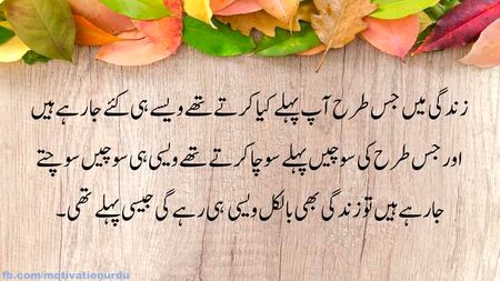 💚💛💜💚💛💜💚💛💜