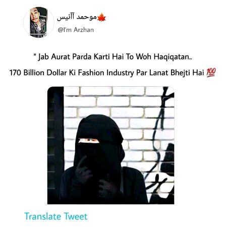 Memes & Satire image