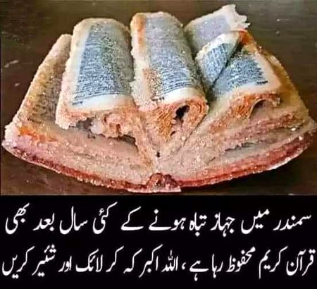 Asalaam o alekum Allah paak ap subko apni amaan main rakhin har buraie sai bechain