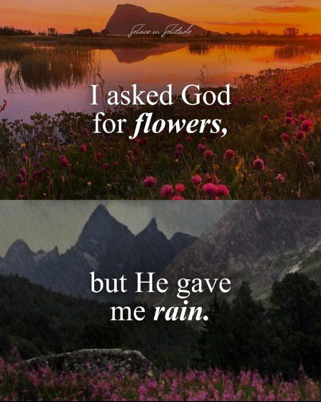 What I didn't realize was that the rain was part of the answer..