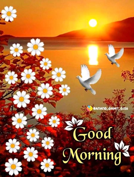 Assalam U Aleikum
💞💞💞💗💗💓💓💓❤
🌷🌷🌷🌺🌺🌺🌻🌻🌻
🌸🌸🌸🌼🌼🌼🌷🌷🌷