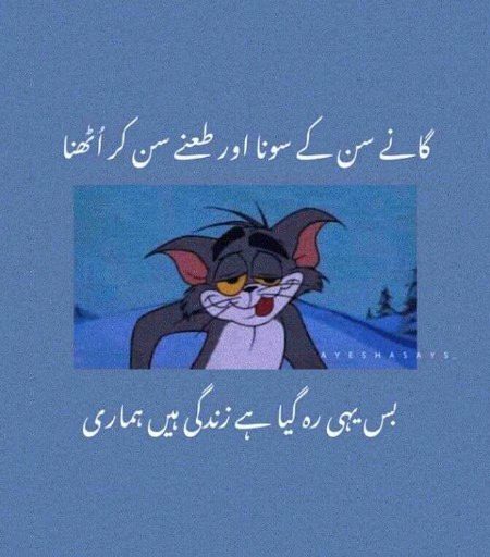 Memes & Satire image