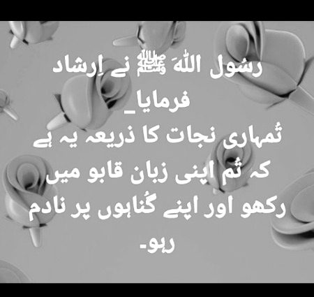 Islamic Quotes image