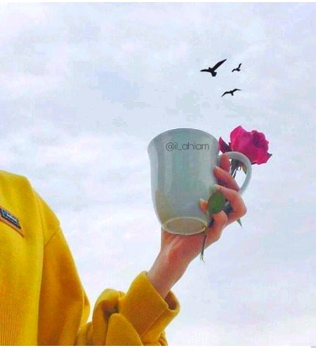 پرندوں اسے کہنا وہ آجاۓ ساری رنجشیں بھول کر۔ ہم نے چاۓ بنائی ہے اس کے لیۓ  محبتیں گھول کر