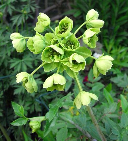 Beautiful Nature image