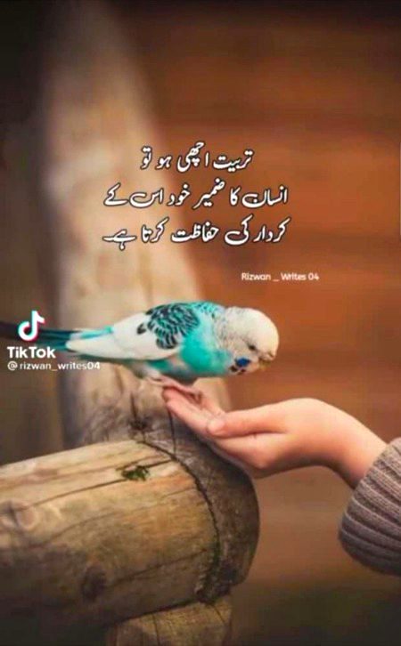 Right 💯 ✅
