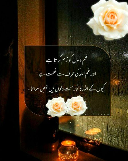 Islamic Quotes image