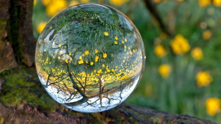 Nature's beauty