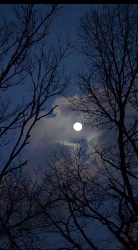 Beautiful Nature image