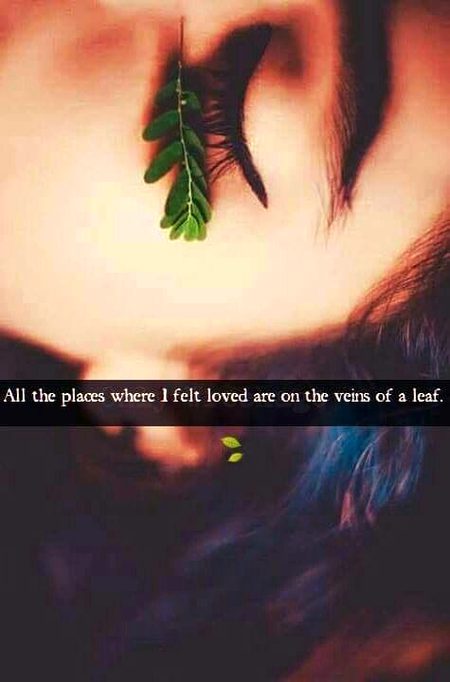 .q1 All 6 page's like done without comments