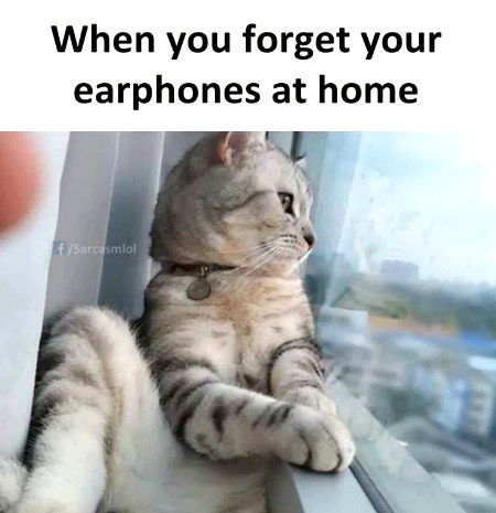 Memes & Satire image