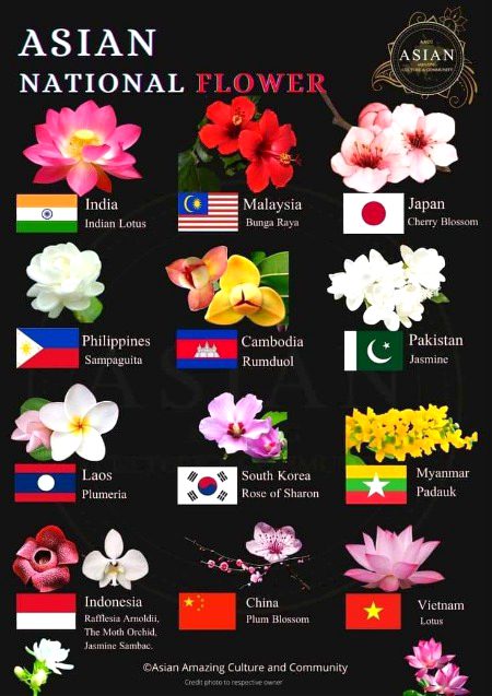 Tips for Students image