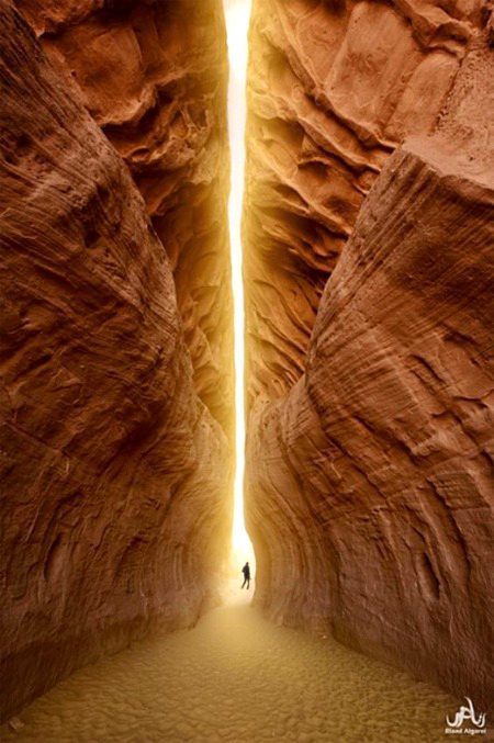 Beautiful Nature image