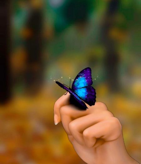 Beautiful Nature image