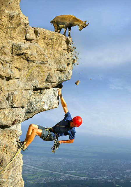 Beautiful Nature image