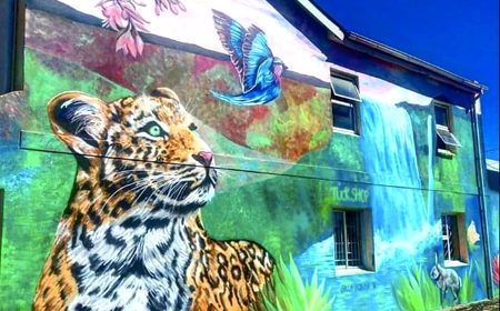 Street Art image
