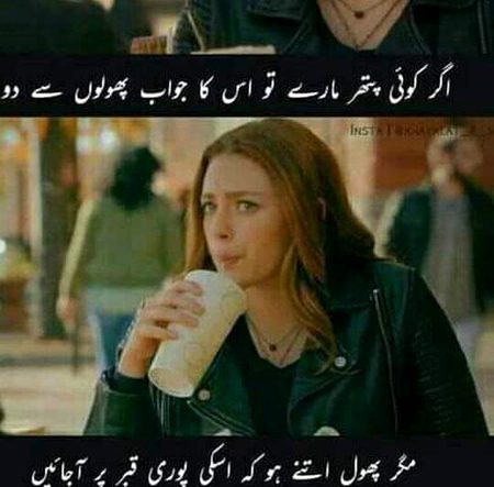 DD sunlo,