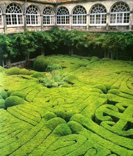 Beautiful Nature image