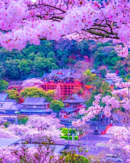 Beautiful Nature image