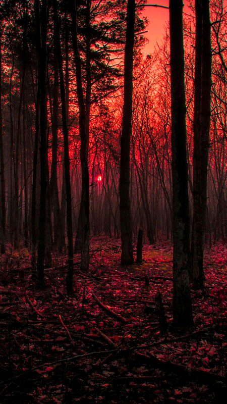 Beautiful Nature image