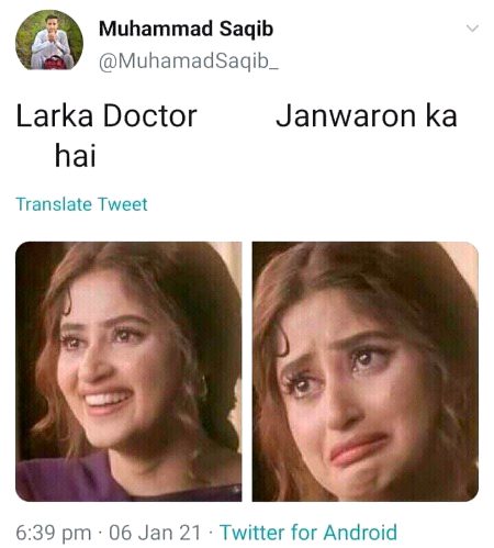Memes & Satire image