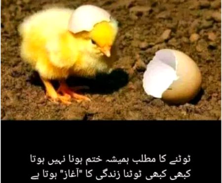 Bilkul 😃😃so be positive