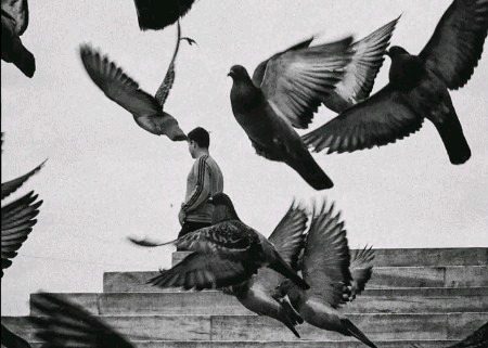 انسانی رویوں سے ڈسے ہوئے لوگ ،مُرشد ، دوائیوں سے جلد ٹھیک نہیں ہوتے ۔