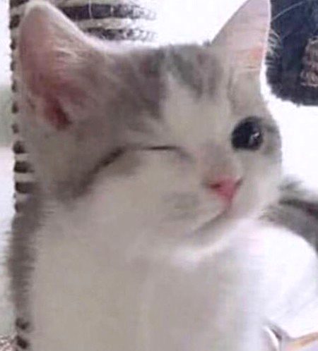 Beautiful Nature image