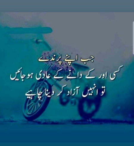 Bilkul sahi❤️
Mona jaan