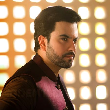 Pakistani Celebs image