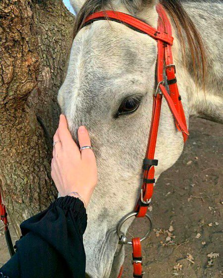 Beautiful Nature image